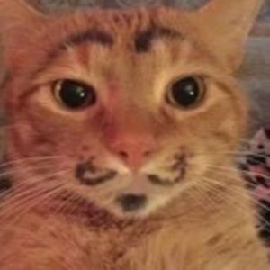 Meet your Posher, Julieta